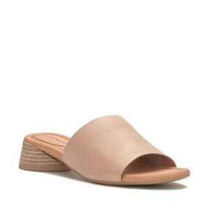 Raffy Slide Sandal in Dusty Sand